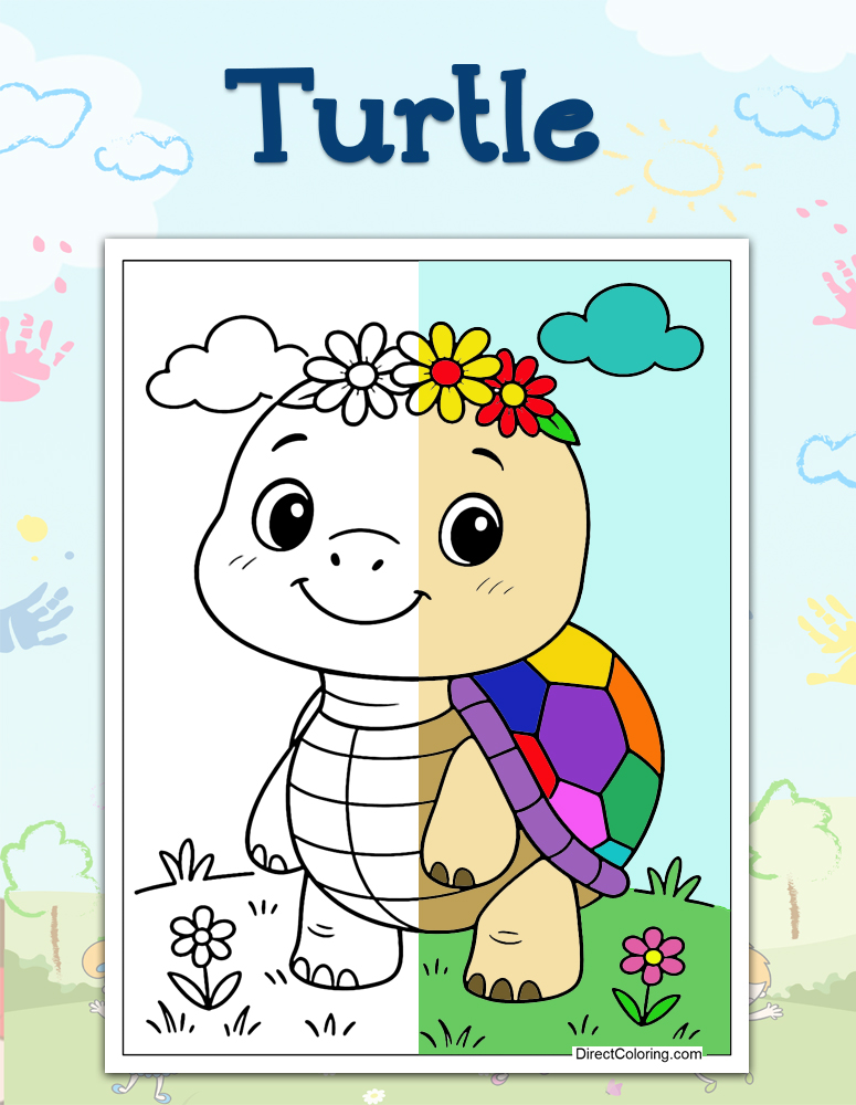 Turtle